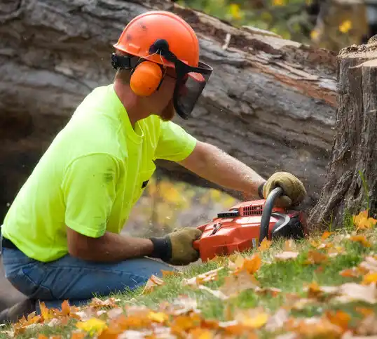 tree services Kevil